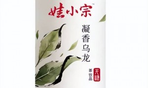 娃哈哈打响夺回资产第一枪