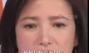 女演员何晴去世年仅61岁 其父母均因脑溢血离世