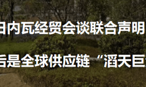 1.8万块英伟达顶级芯片，藏不住沙特的AI野心