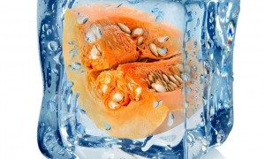 2000年前中国古人用热水造冰，困扰物理学家多年，究竟是什么原理
