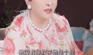 向太透露王家卫为人刻薄 把《一代宗师》投资人气到犯心脏病