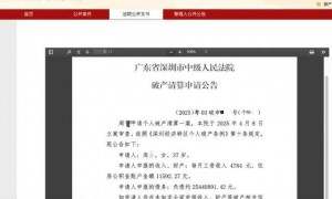 女子月入4784元负债高达2544万元申请破产，法院回应