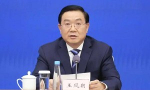 打虎！成都市市长王凤朝被查