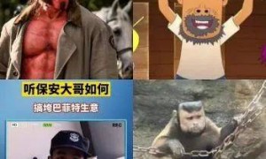 合肥一动物园“国字脸猴子”走红，工作人员：它的长相在黑帽悬猴中属于“美男子”