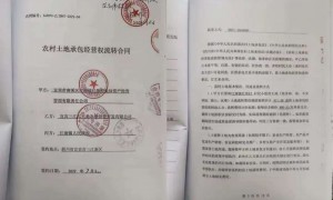 法治面｜为整治土地“非粮化”百亩苗圃被毁，四川高院裁定提审