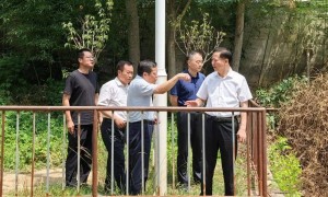 成批秧苗死亡，蚌埠市委书记市长前往事发地