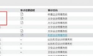 如意集团被控股股东掏空?遭监管两次立案调查