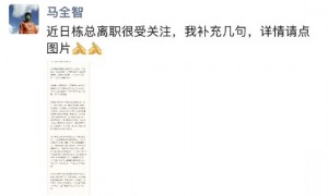 巨人网络回应前CEO离职:核心向史玉柱汇报,规避内耗、大公司病